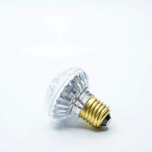 Cabochon Warm White Flat Festoon Lighting Per Meter (0.5m Spacing) - Festoon Lighting