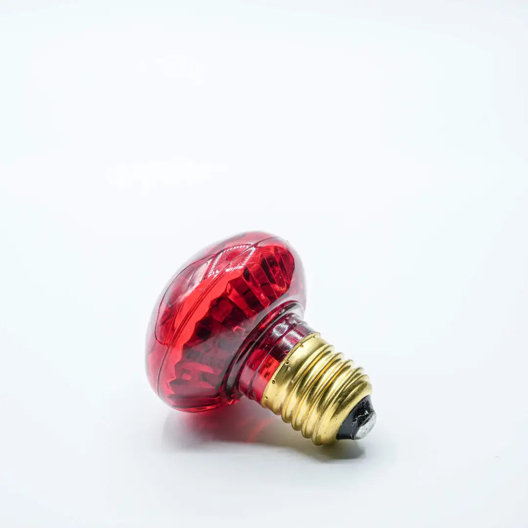 Cabochon Red Flat Festoon Lighting Per Meter (0.5m Spacing) - Festoon Lighting