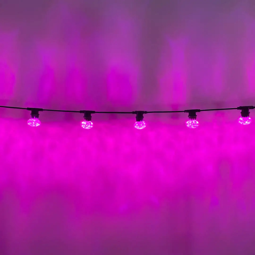 50m Pink Cabochon Festoon Lighting Bundle (0.5m Spacing) - Festoon Lighting