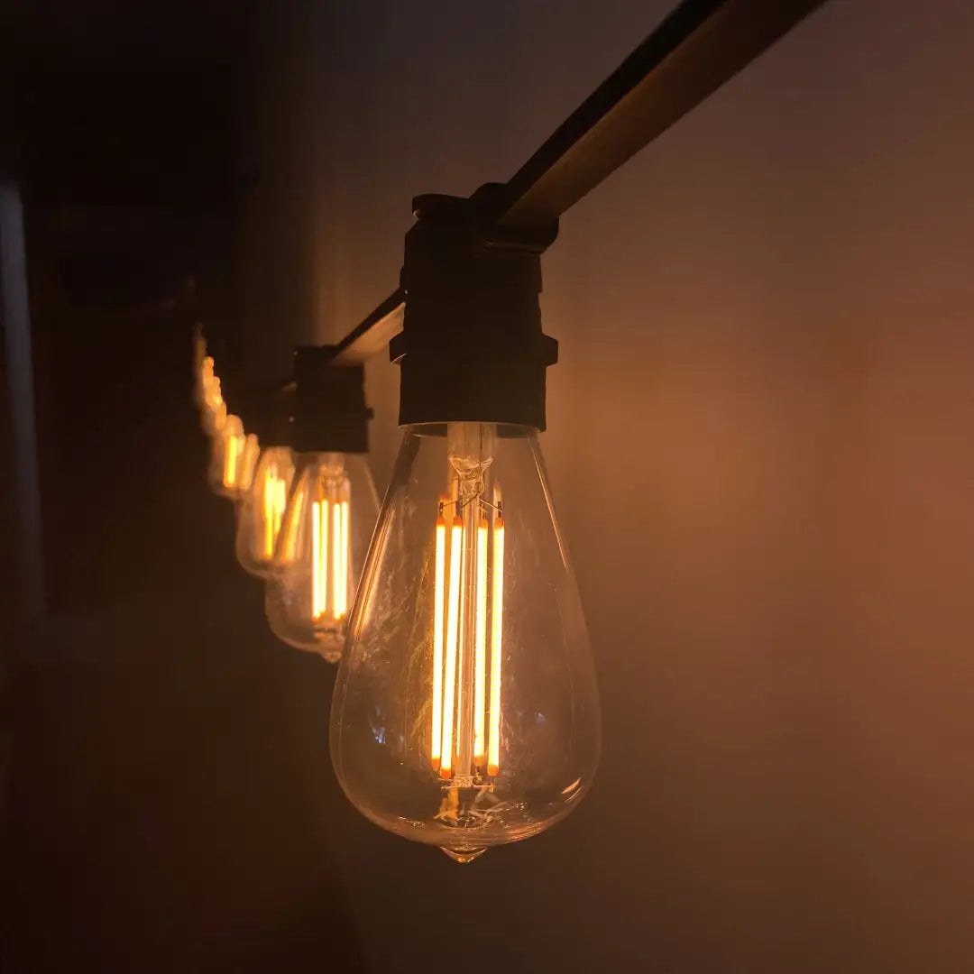 ST64 Clear Warm White Flat Festoon Lighting Per Meter (0.9m Spacing) - Festoon Lighting