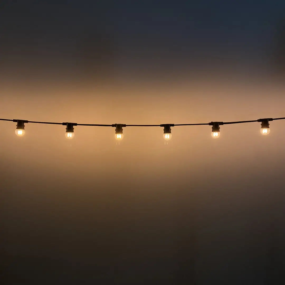 G45 Clear Warm White 2F Flat Festoon Lighting Per Meter (0.5m Spacing) - Festoon Lighting