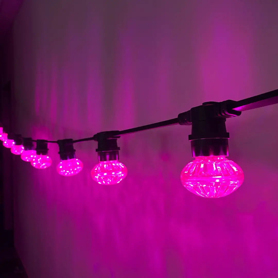 Cabochon Pink Flat Festoon Lighting Per Meter (0.5m Spacing) - Festoon Lighting