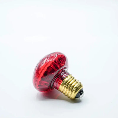 Bulb E27 Cabochon - Red - Festoon Bulbs