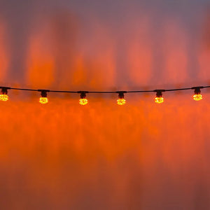 50m Orange Cabochon Festoon Lighting Bundle (0.5m Spacing) - Festoon Lighting