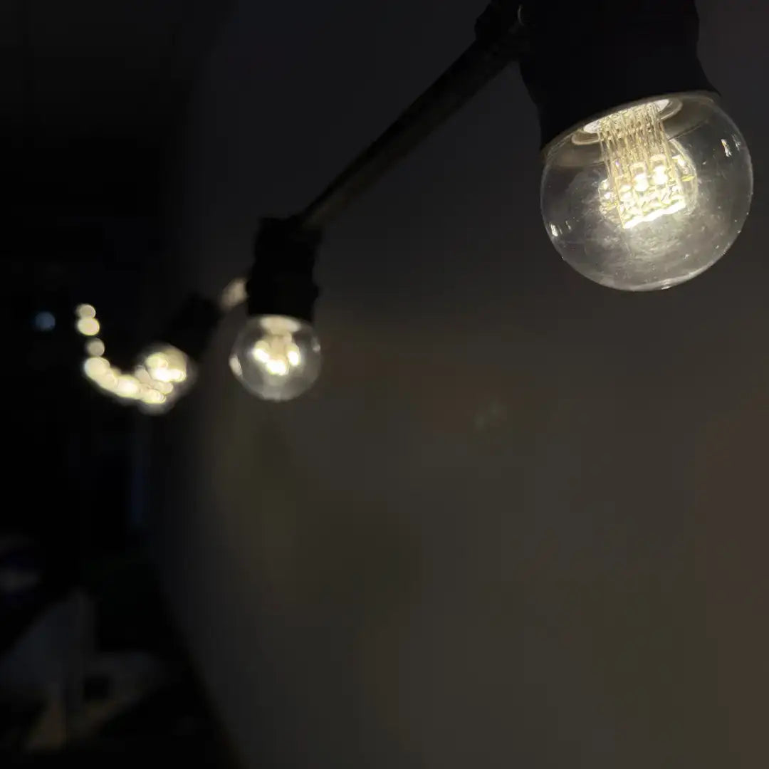 E27 Bulb G45 Clear 12 Diodes