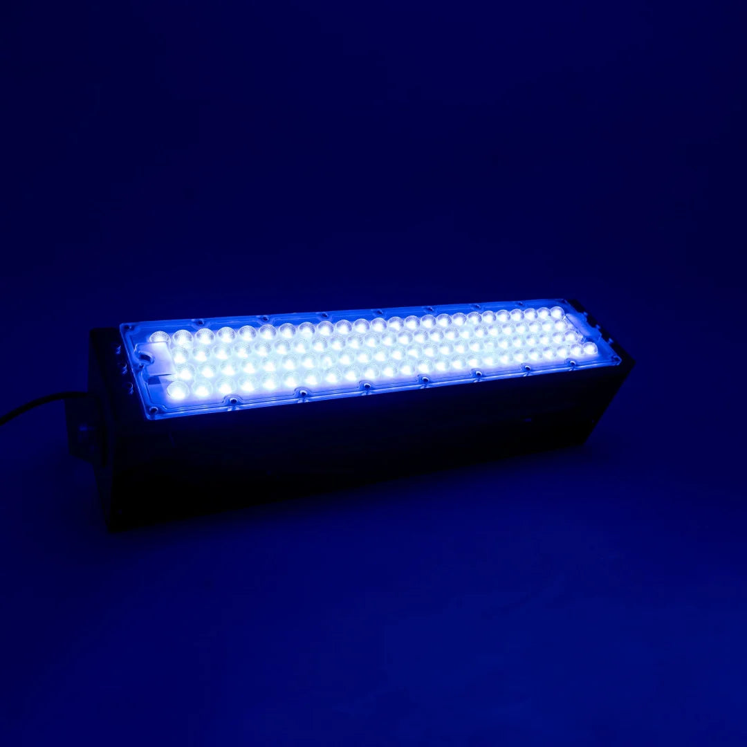 50w Blue Led Architectural Floodlight