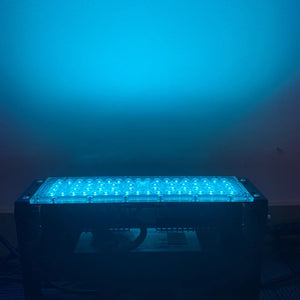 Cyan Led Floodlight