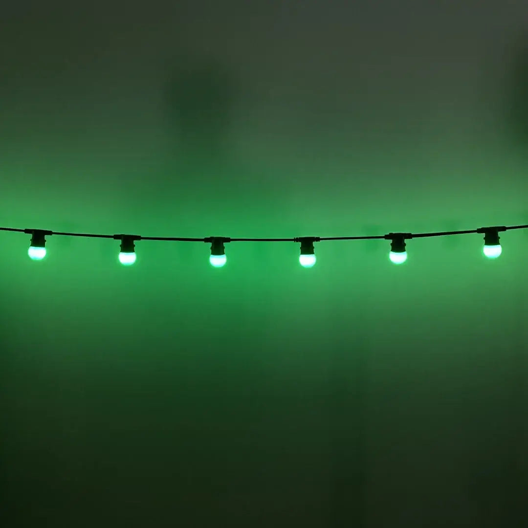 50m G45 Green 2F Festoon Lighting Bundle (0.5m Spacing) - Festoon Lighting