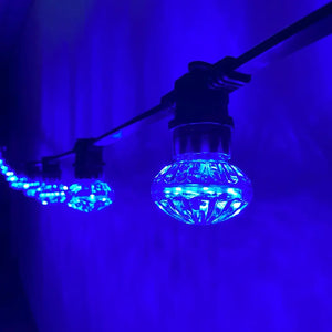 Cabochon Blue Flat Festoon Lighting Per Meter (0.5m Spacing) - Festoon Lighting