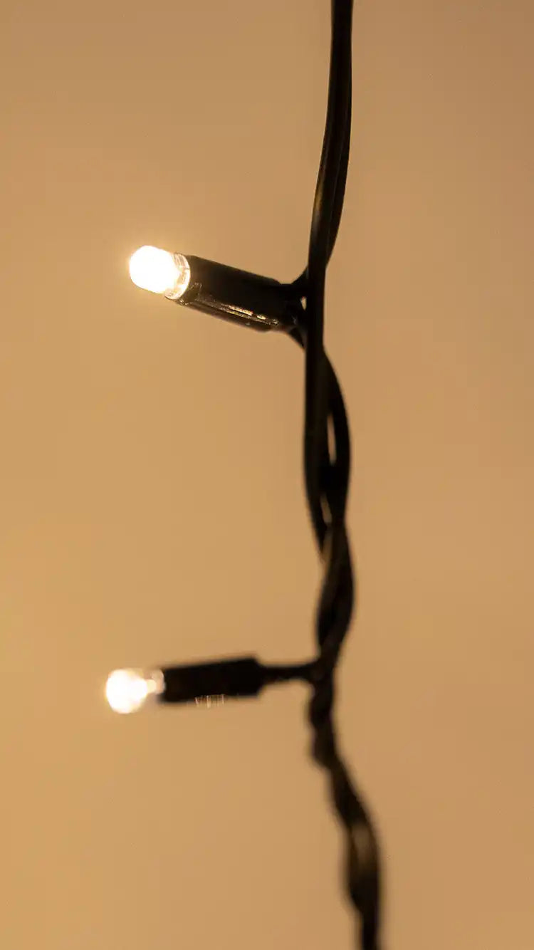 String of glowing LED lights with black wiring.