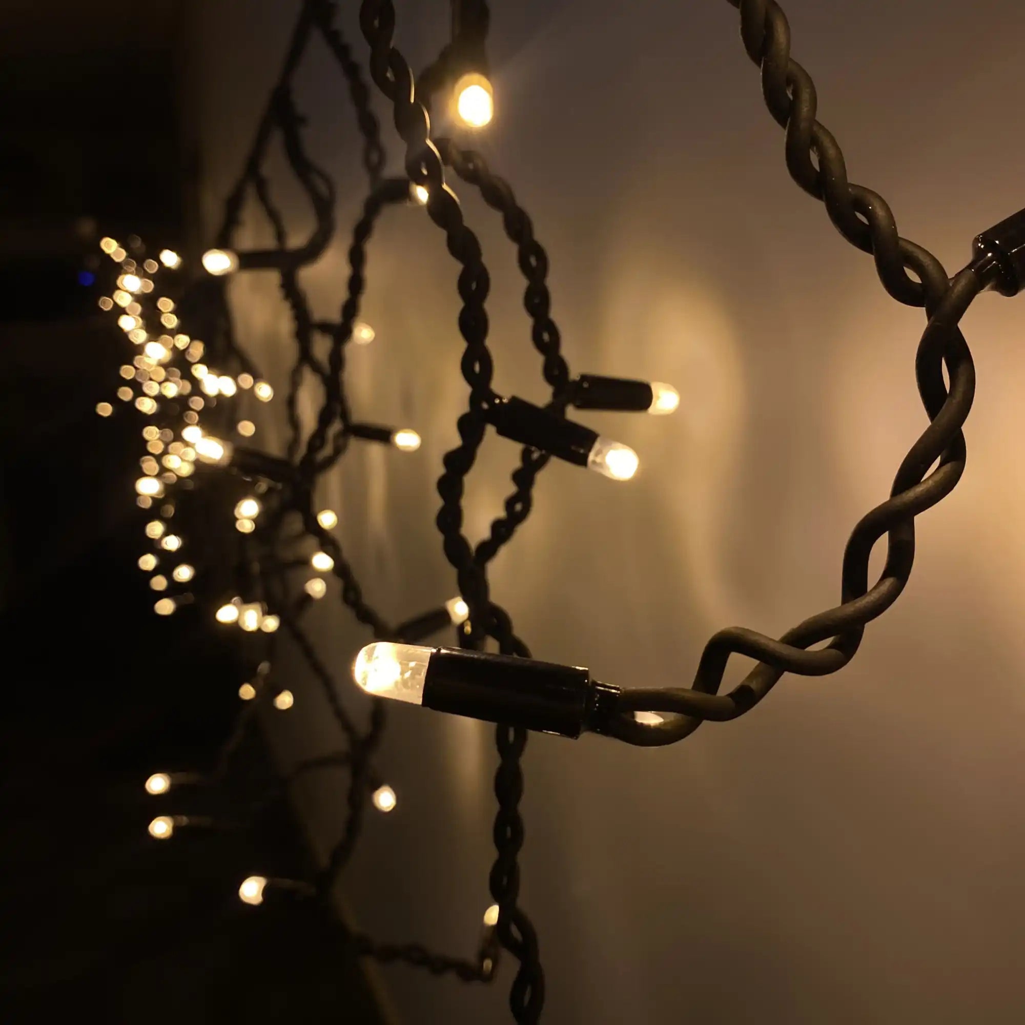 Glowing string lights with twisted black cords creating a warm ambiance.