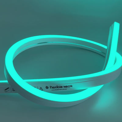 12x20mm Long Distance Neon - RGB + Warm White Per Meter (48V)
