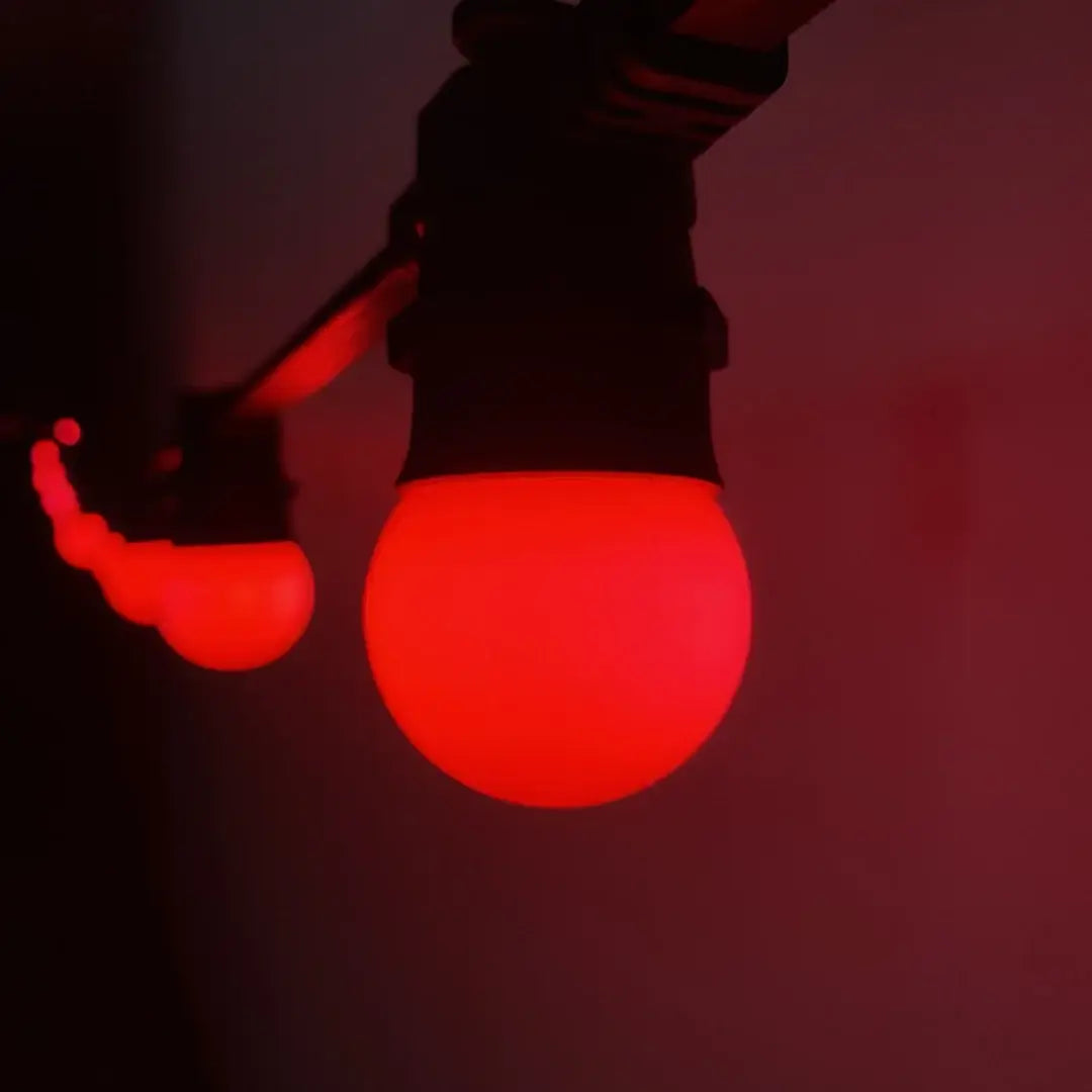 Raspberry Red Festoon Lighting Per Meter - Festoon – Flexible Neon
