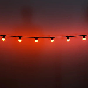 50m G45 Red 2F Festoon Lighting Bundle (0.5m Spacing) - Festoon Lighting