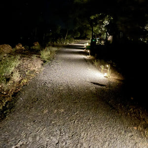 Solar Garden Spotlights (2) WW - Floodlight