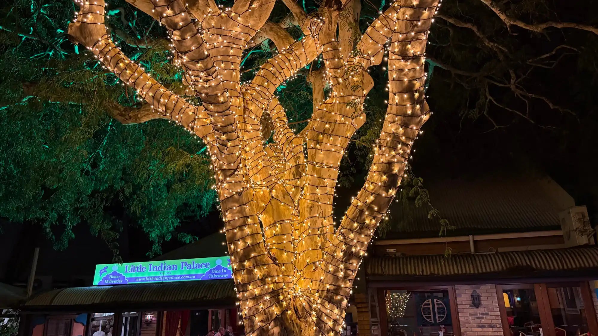 Tree wrapped in warm white string lights from trunk to branches.