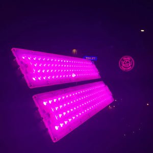 Pink Led Architectural Floodlight