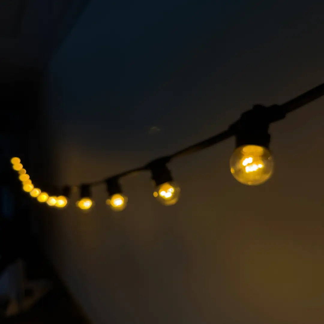 Natural White (1900K) Diodes Festoon Lighting Per Meter - Festoon Lighting